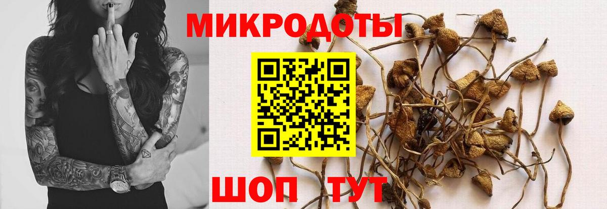 Псилоцибиновые грибы Psilocybe Советский