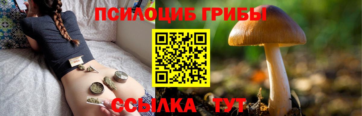 Галлюциногенные грибы Cubensis  Вход с VPN  Советский  Псилоцибиновые грибы GOLDEN TEACHER 